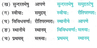 Class 7 Sanskrit Chapter 11 Diagram 4