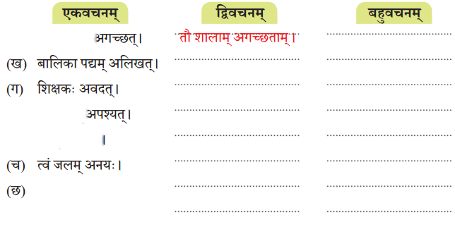 Class 7 Sanskrit Chapter 12 Diagram 4