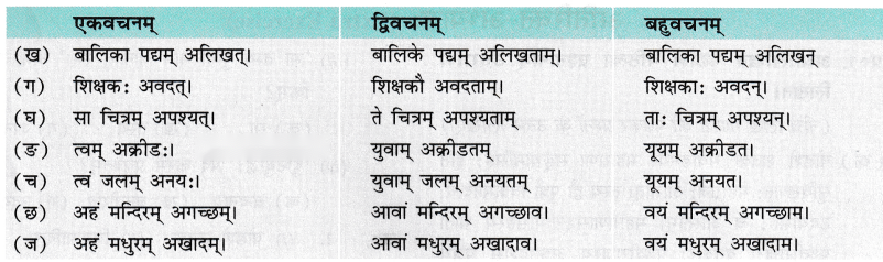 Class 7 Sanskrit Chapter 12 Diagram 5