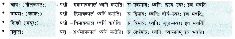 Class 7 Sanskrit Chapter 13 Diagram 14