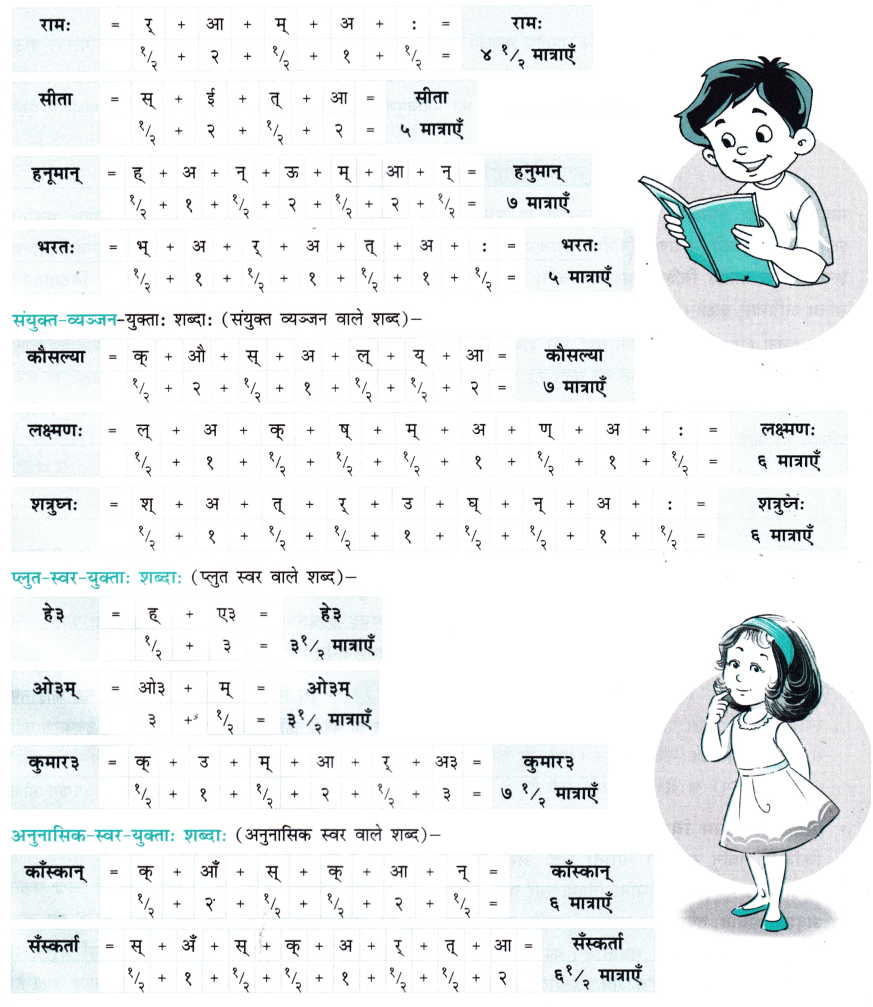 Class 7 Sanskrit Chapter 13 Diagram 15