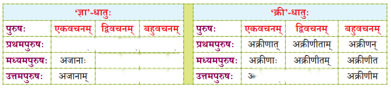 Chapter 14 Diagram 6