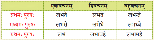 Class 7 Sanskrit Chapter 4 Diagram 1