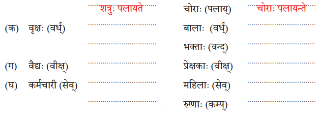 Class 7 Sanskrit Chapter 4 Diagram 6