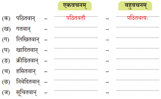 Class 7 Sanskrit Chapter 5 Diagram 1