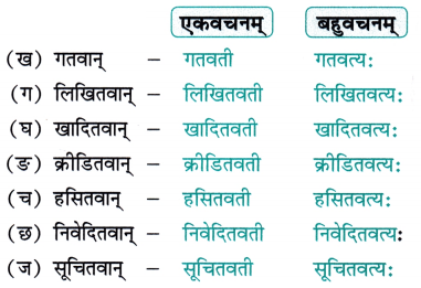 Class 7 Sanskrit Chapter 5 Diagram 2