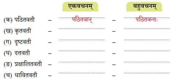 Class 7 Sanskrit Chapter 5 Diagram 3