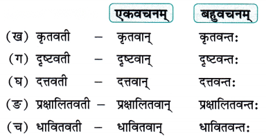 Class 7 Sanskrit Chapter 5 Diagram 4
