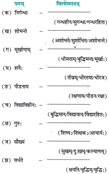 Class 7 Sanskrit Chapter 6 Diagram 8