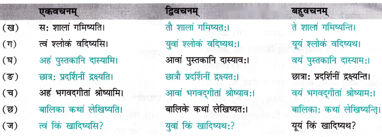 Class 7 Sanskrit Chapter 7 Diagram 8
