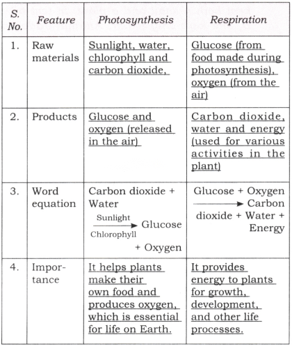 Life Processes in Plants Class 7 Diagram 2