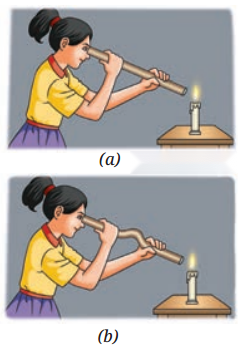 Light Shadows and Reflections Class 7 Diagram 8