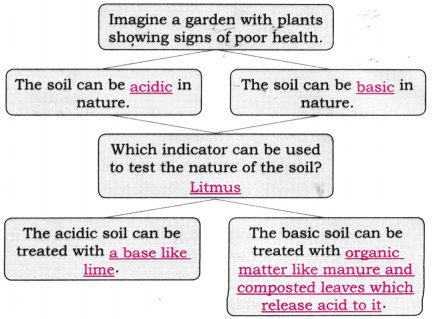 Exploring Substances Acidic Basic and Neutral Class 7 Diagram 4