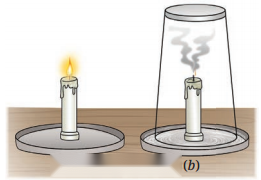 Changes Around Us Physical and Chemical Class 7 Diagram 10