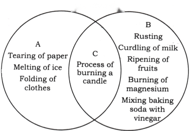 Changes Around Us Physical and Chemical Class 7 Diagram 3