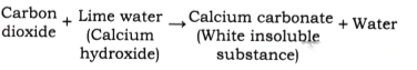 Changes Around Us Physical and Chemical Class 7 Diagram 5