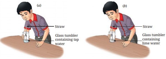 Changes Around Us Physical and Chemical Class 7 Diagram 6