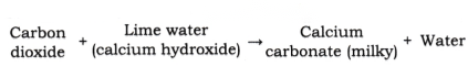 Changes Around Us Physical and Chemical Class 7 Diagram 7