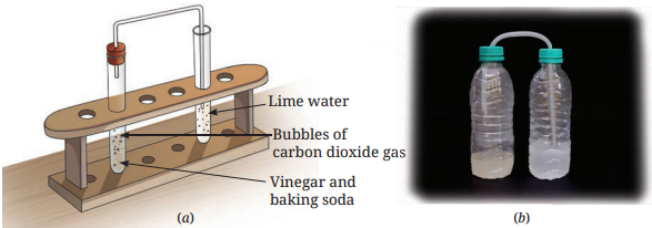 Changes Around Us Physical and Chemical Class 7 Diagram 8