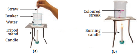 Heat Transfer in Nature Class 7 Diagram 7