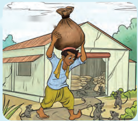 From Barter to Money Class 7 Diagram 4