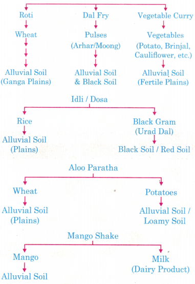 The Story of Indian Farming Class 7 Diagram 1