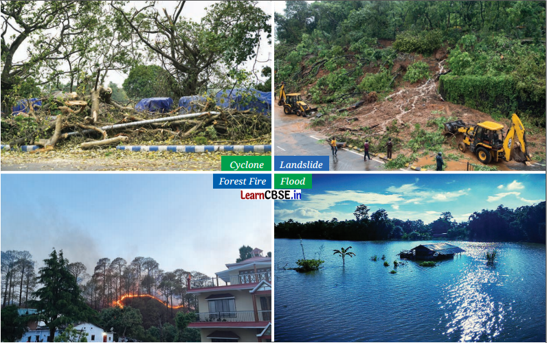 Climates of India Class 7 Diagram 1