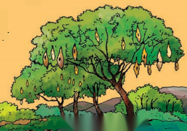 भगवान के डाकिए (Bhagwaan_ke_Daakiye) Diagram 27