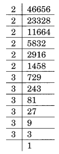 Cube and Cube Roots Diagram 5