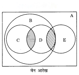 Data Handling (Hindi Medium) Diagram 13