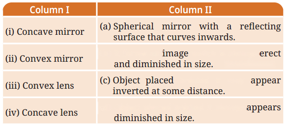 Light Mirrors and Lenses Diagram 13