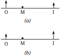 Light Mirrors and Lenses Diagram 14