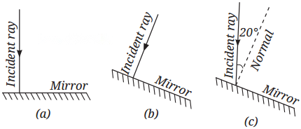 Light Mirrors and Lenses Diagram 2