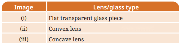 Light Mirrors and Lenses Diagram 9