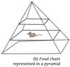 How Nature Works in Harmony Diagram 10