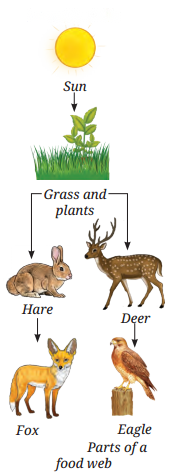 How Nature Works in Harmony Diagram 2