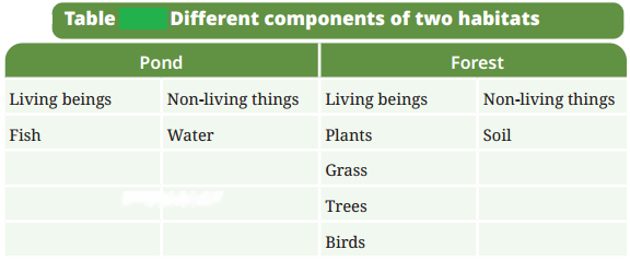 How Nature Works in Harmony Diagram 3