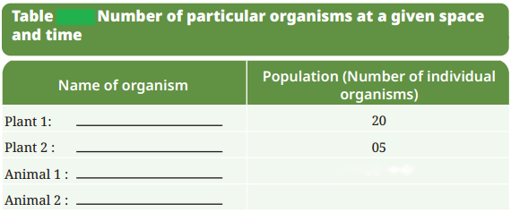 How Nature Works in Harmony Diagram 5