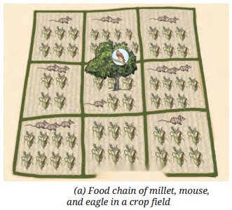 How Nature Works in Harmony Diagram 9