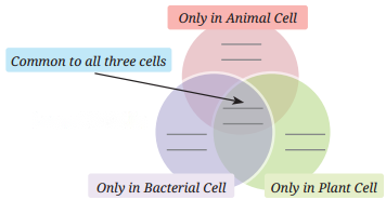 The Invisible Living World Beyond Our Naked Eye Diagram 1