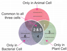 The Invisible Living World Beyond Our Naked Eye Diagram 2