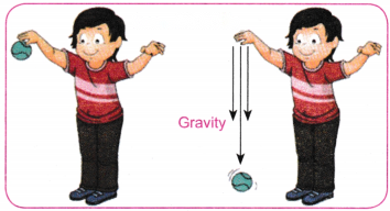 Exploring Forces Diagram 2