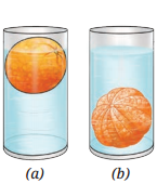 The Amazing World of Solutes Solvents and Solutions Diagram 1