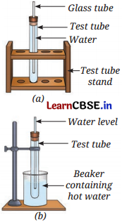 The Amazing World of Solutes Solvents and Solutions Diagram 2