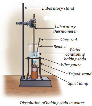 The Amazing World of Solutes Solvents and Solutions Diagram 5