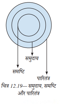 How Nature Works in Harmony (Hindi Medium) Diagram 1