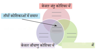 The Invisible Living World Beyond Our Naked Eye (Hindi Medium) Diagram 1