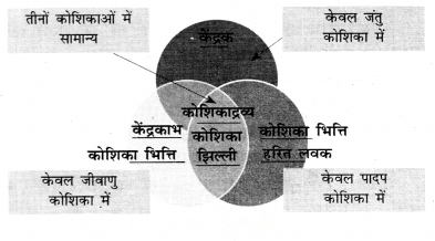 The Invisible Living World Beyond Our Naked Eye (Hindi Medium) Diagram 2