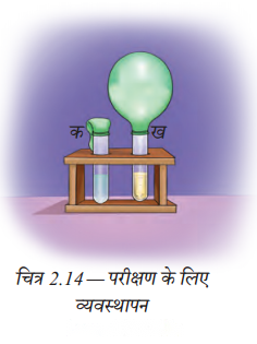 The Invisible Living World Beyond Our Naked Eye (Hindi Medium) Diagram 3