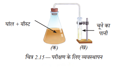 The Invisible Living World Beyond Our Naked Eye (Hindi Medium) Diagram 4